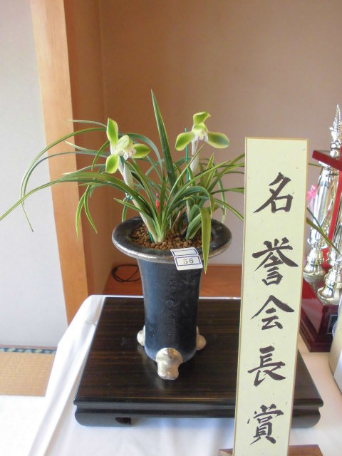 大分春蘭会花物展示会_f0318967_20071172.jpg