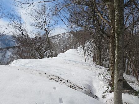 岩谷山1256ｍ　　大展望だよ行かないと損！・・かも_f0302771_13444230.jpg