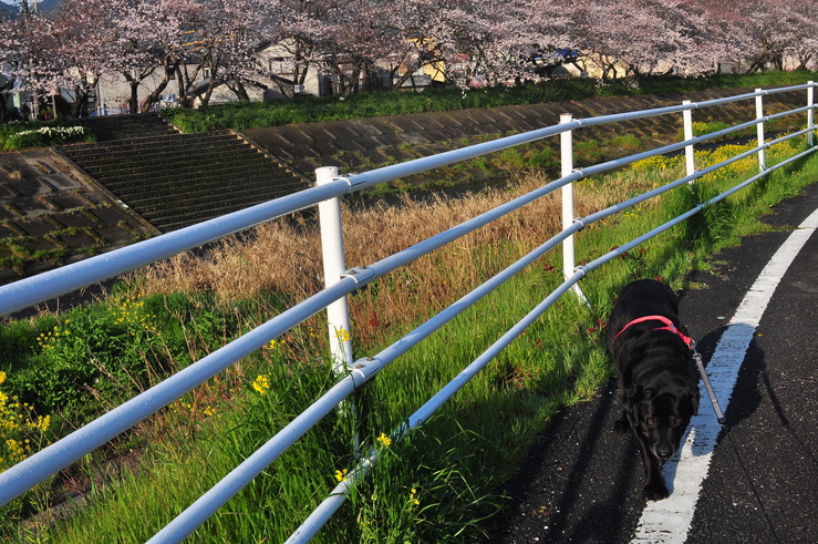 2015年3月_c0176183_19401669.jpg