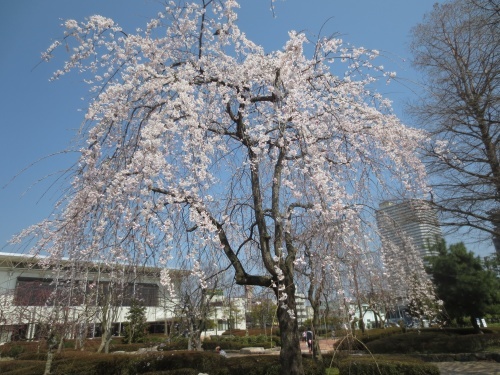 b0336384_23460422.jpg