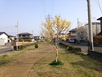 d0261484_2228489.jpg