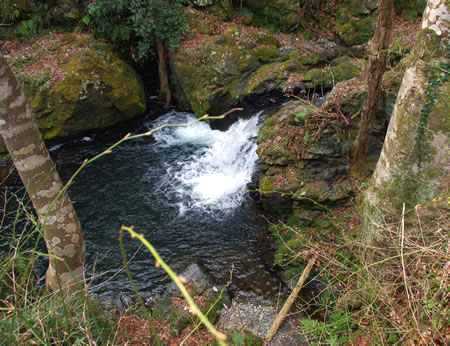 b0123486_9301465.jpg