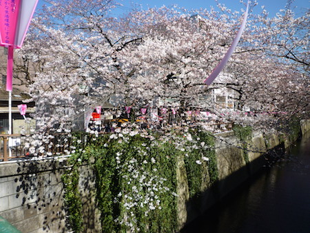 代官山の 旧朝倉家住宅 を見学〜中目黒に移動して目黒川の桜を鑑賞♪_e0194987_21204848.jpg