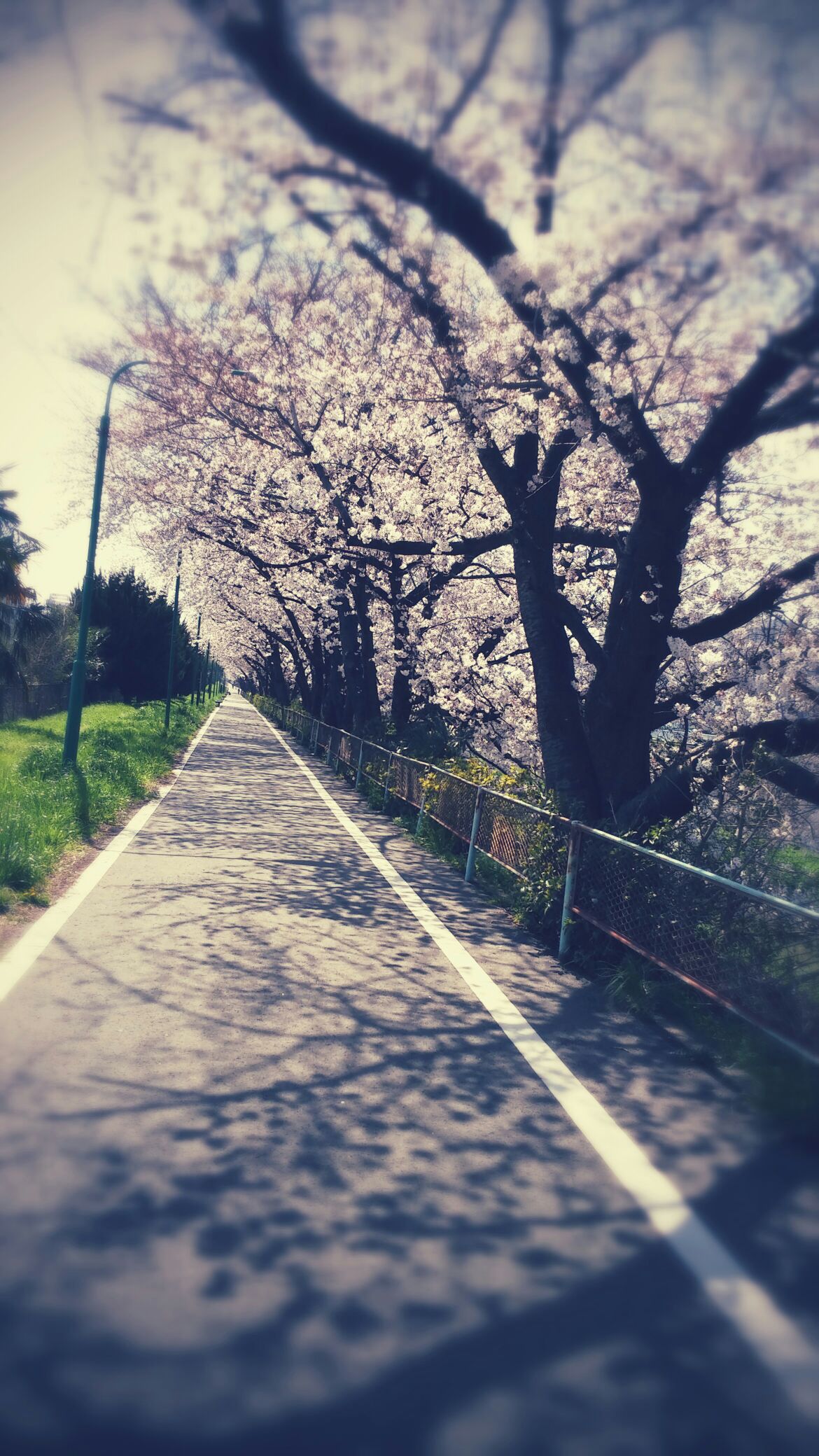 サイクリング。。。。_b0210688_17234497.jpg