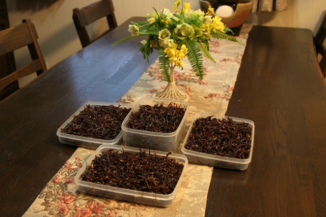 f0229190_23031740.jpg