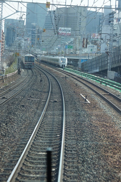 d0181492_1151637.jpg