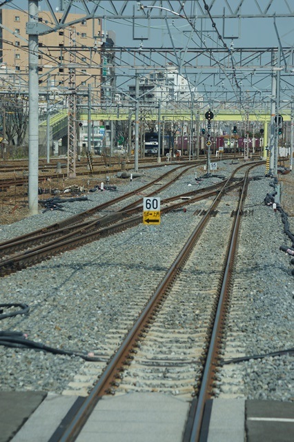 d0181492_1155140.jpg