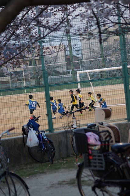 d0181492_21435382.jpg