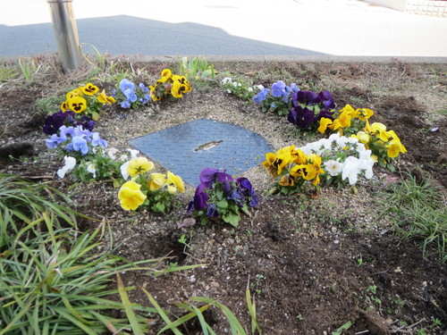 3月 園芸活動_a0158095_16284699.jpg