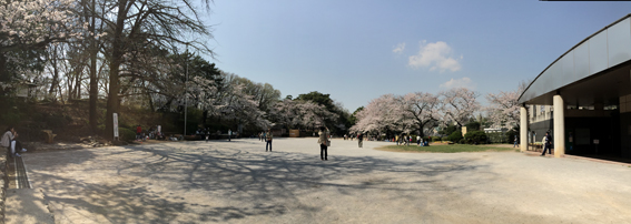 e0000295_1815139.jpg