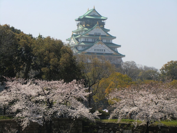 大阪城へ花見に行ってきました　①_b0044296_23203353.jpg