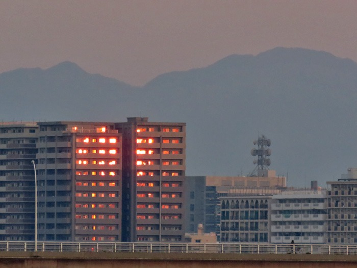 c0049299_22452720.jpg