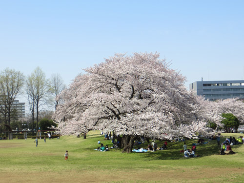 航空公園でスケッチ会。_b0129807_17192694.jpg