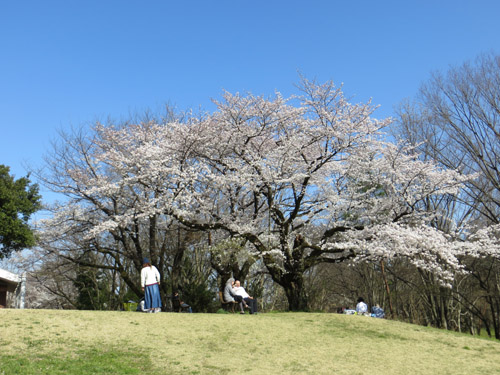 航空公園でスケッチ会。_b0129807_1719530.jpg