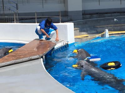 海きらら水族館_f0087808_9121916.jpg