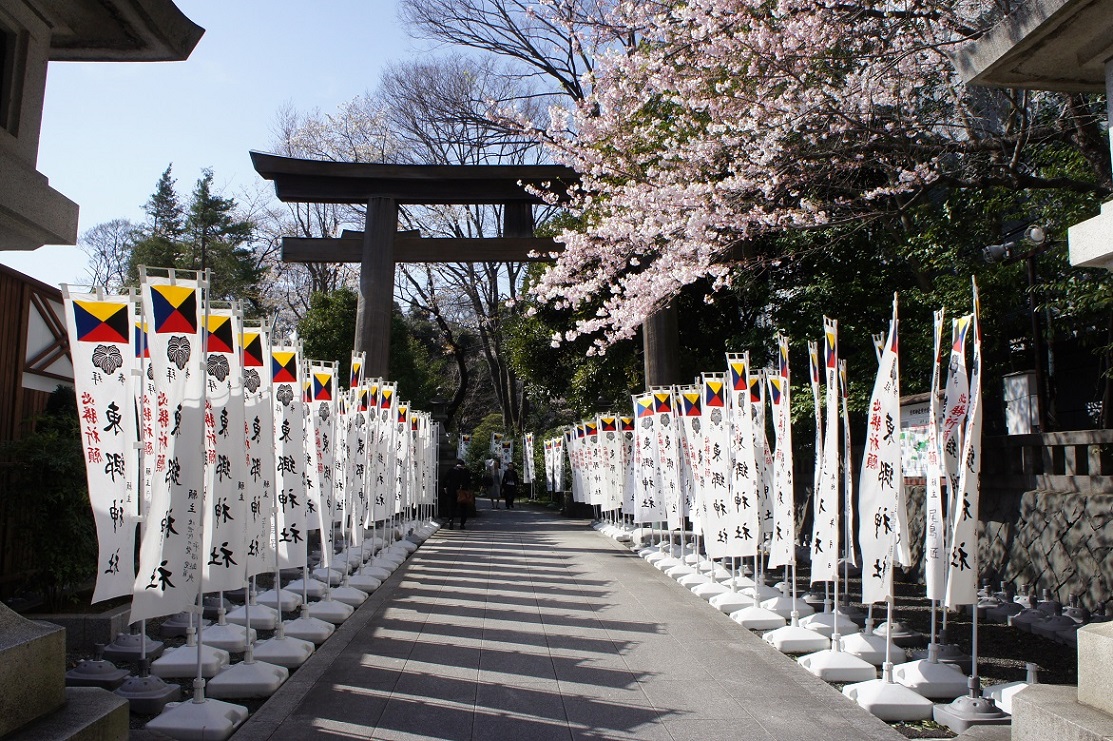 東郷神社の桜_b0112909_17505377.jpg