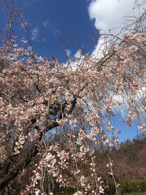 c0208011_11245165.jpg