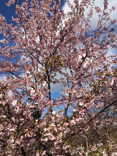 c0208011_11251472.jpg