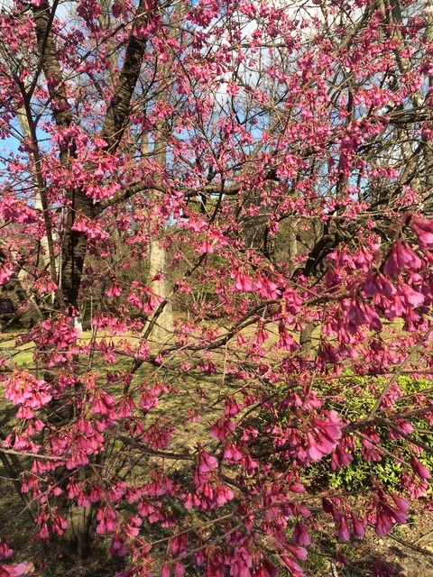 c0208011_11253733.jpg
