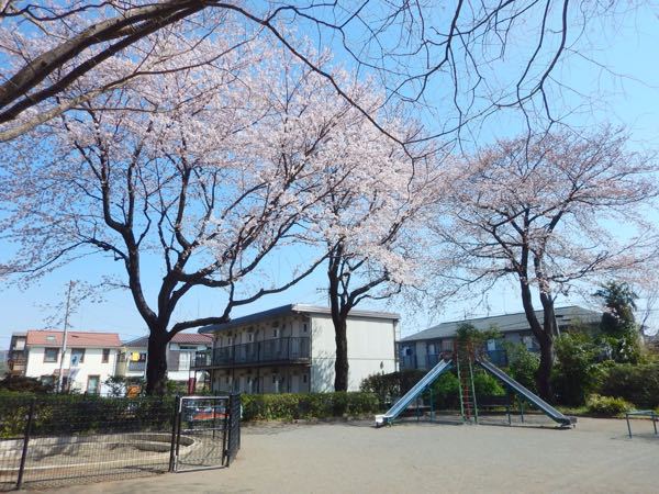 お花見ながら散歩_f0329311_10304890.jpg