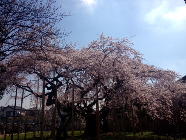 c0200314_1537496.jpg