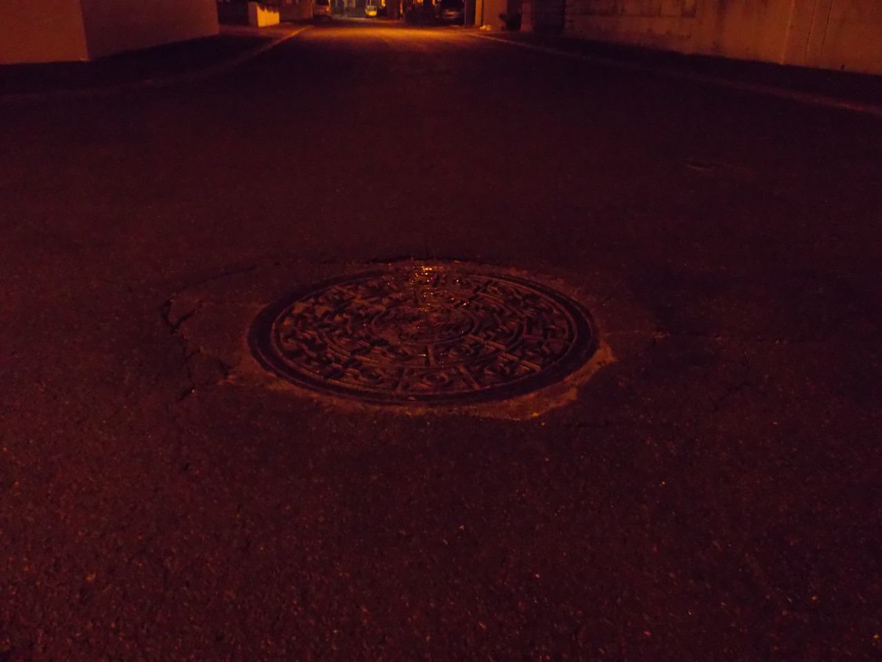 久しぶりの雨_c0025115_20102689.jpg