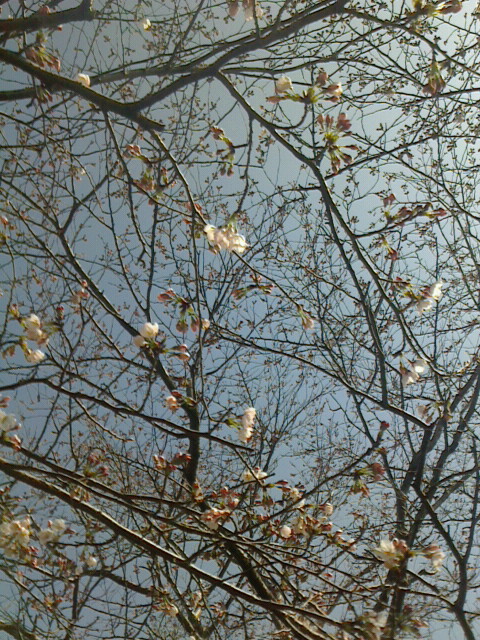 c0038424_1495978.jpg