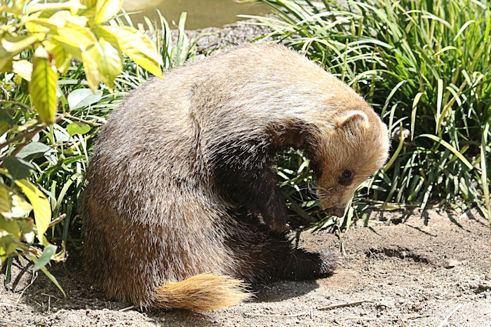 f0224624_4271232.jpg