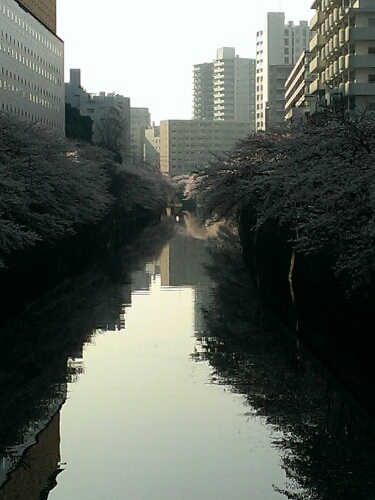 b0312126_1831327.jpg
