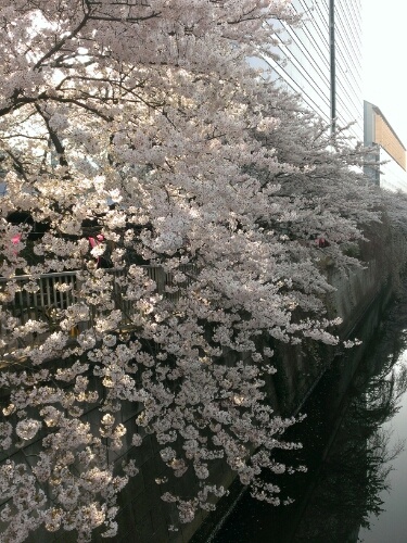 b0312126_18321751.jpg