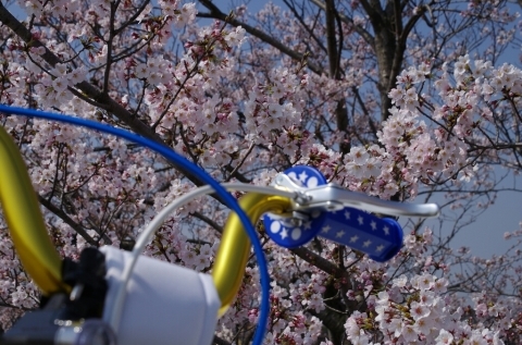 f0250929_21410485.jpg