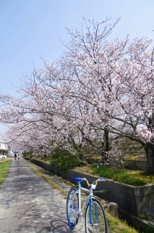 f0250929_21410595.jpg