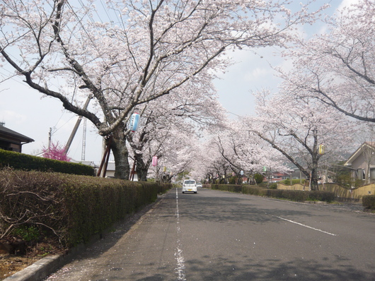 a0206332_10132336.jpg