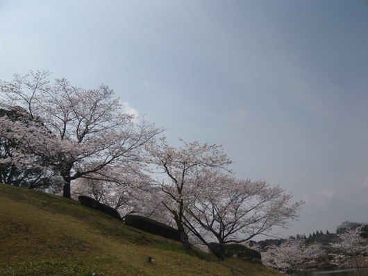 a0206332_1014352.jpg