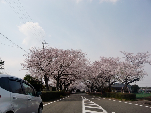 a0206332_9392527.jpg
