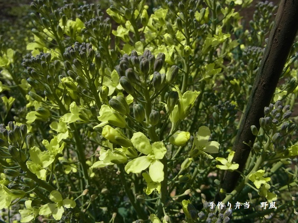 b0244034_07294707.jpg