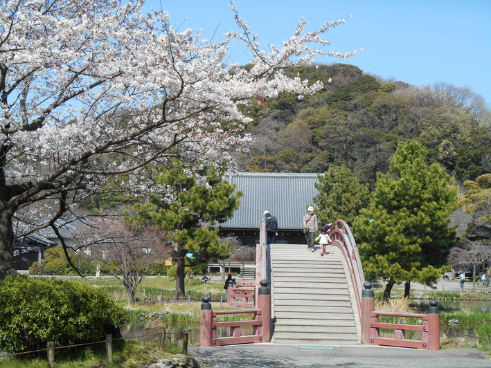 f0232136_11172630.jpg