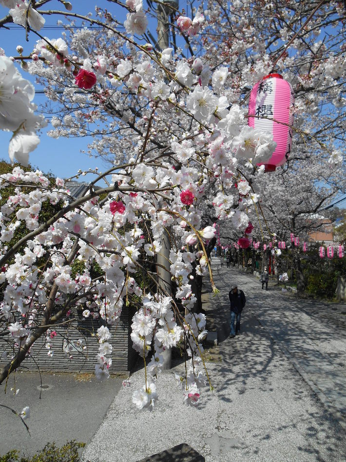 f0232136_11304586.jpg