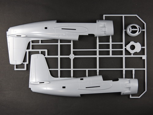 スペシャルホビー1/48AF-2Wガーディアン_e0241738_23411463.jpg