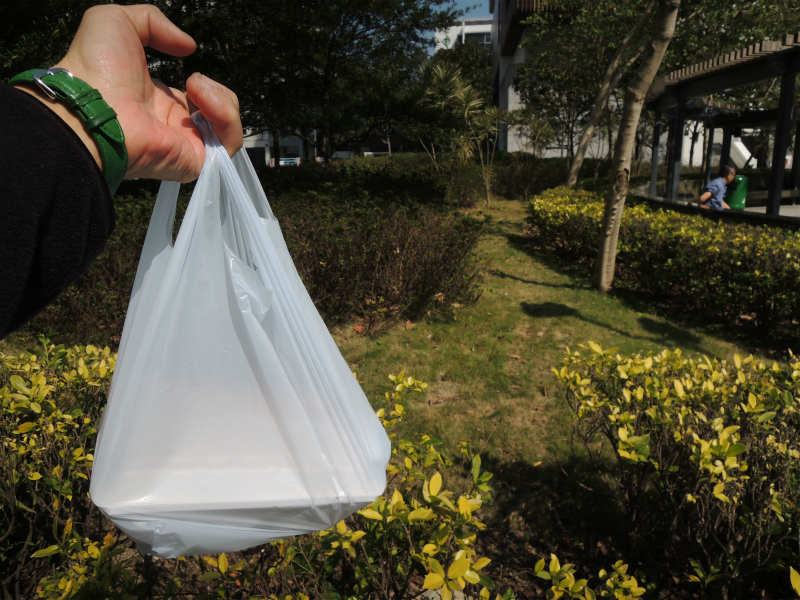 公園とバス停前で 弁当とおやつを　～ 女の子グループのお花見には敵いません ～_e0248743_7444585.jpg