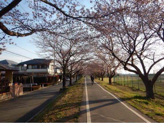 たった2時間の走行でこんなに書く事がある辺りに…(略) その3。_b0136045_7281713.jpg