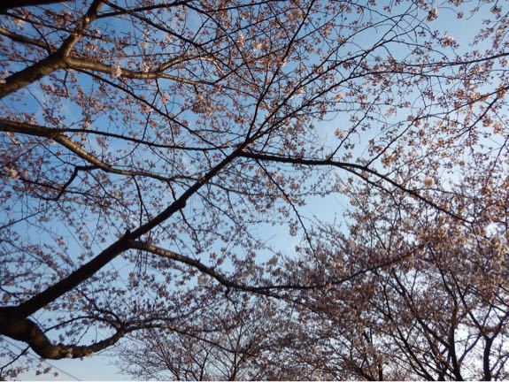 たった2時間の走行でこんなに書く事がある辺りに…(略) その3。_b0136045_7281829.jpg