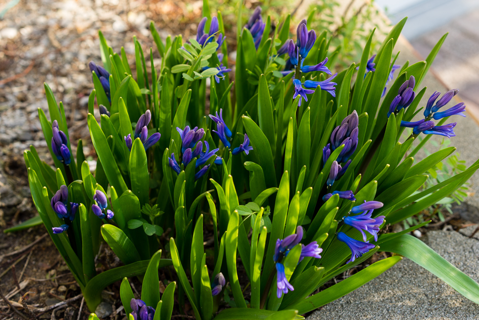 b0171150_20123128.jpg