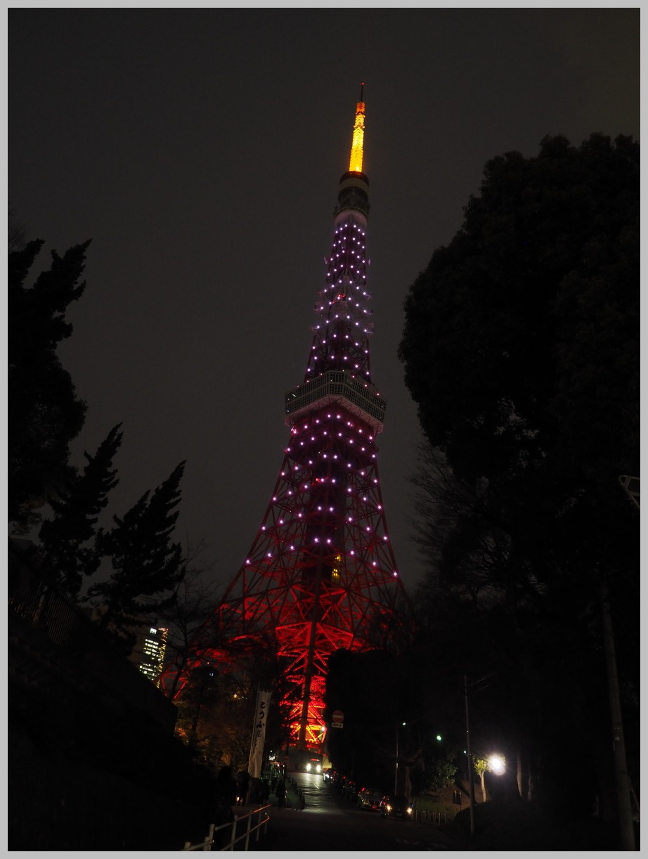 東京タワー・桜色　　　023)_c0068050_214724.jpg