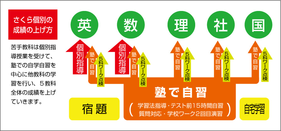 なぜさくら個別では１教科の個別指導で５教科の成績が上がるのか？_e0092453_17505415.jpg