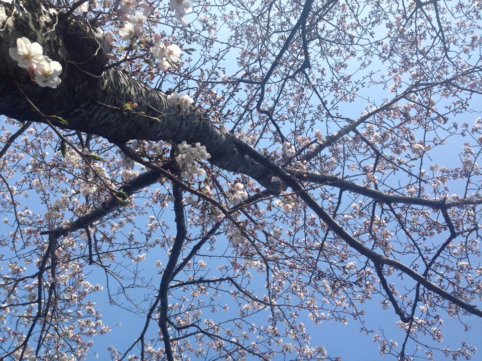 c0115560_11385420.jpg