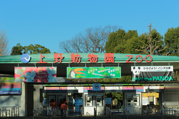 上野動物園　入園料って高い？_e0086860_01300226.jpg