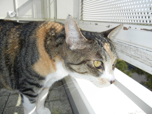’15,3,31(火)春ってウキウキするね~!_f0060461_9232659.jpg