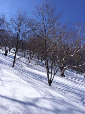 スキー場をはしご　⭐️３月末のピーカン&#127925;_c0151965_15152492.jpg