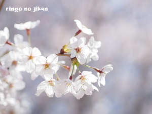 d0290073_2251617.jpg